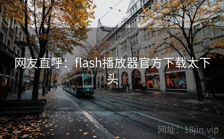 网友直呼:flash播放器官方下载太下头