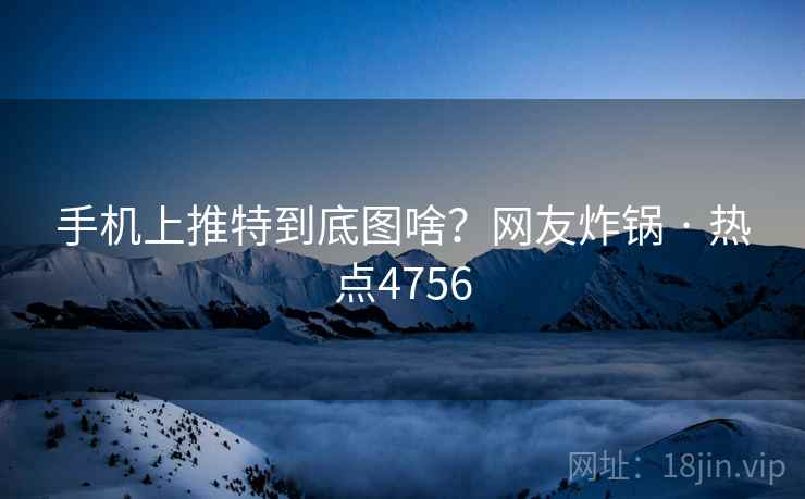 手机上推特到底图啥？网友炸锅 · 热点4756