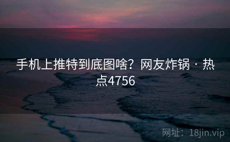 手机上推特到底图啥？网友炸锅 · 热点4756